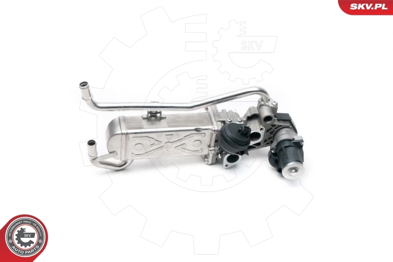 EGR Valve